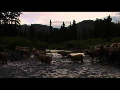 Hell Roaring Creek clip