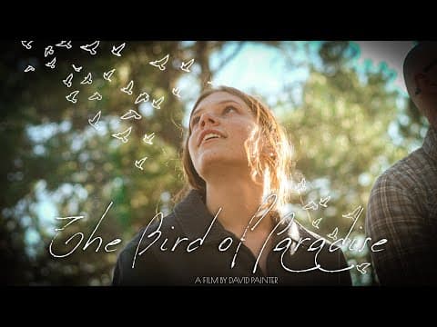 The Bird of Paradise - A Narrative Short Film