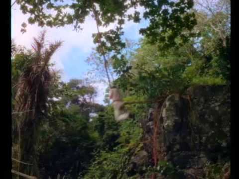 Jane And The Lost City Trailer