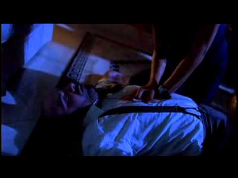 Torn Apart Trailer