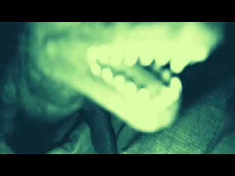 Dinosaur Farm
