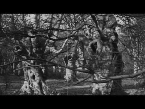 Burnham Beeches (1909)