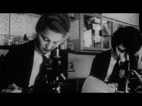 Comprehensive School (1962) | Britain on Film