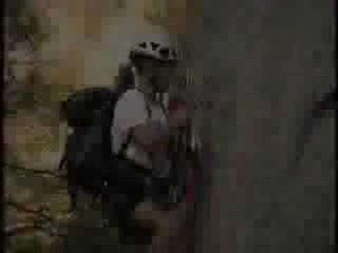 Wall Rats Trailer
