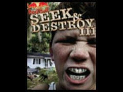 Red Bull skateboard contest SEEK AND DESTROY 3 2006