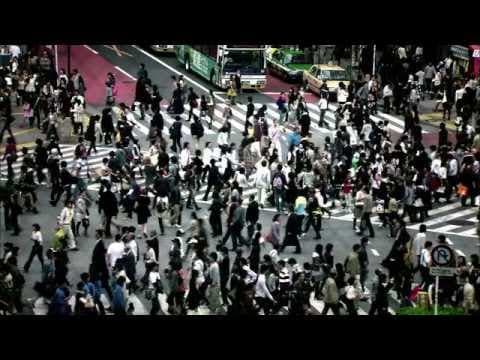 Human Harvest Official Trailer