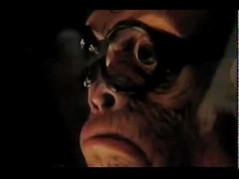 The Killers - Zombie Hands