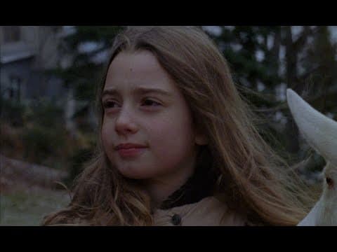 The Orphan's Tale