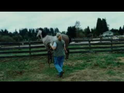 Zoo 2007 Trailer