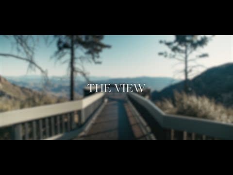 The View