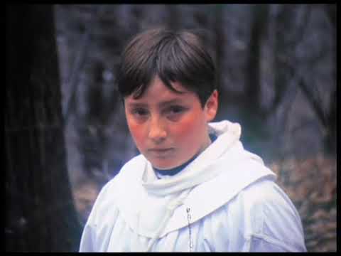 Oh ! Peine ! Peine sans égale ! (1986) de Gérard Courant