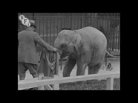 The Thirteenth Instant (1940) | BFI National Archive