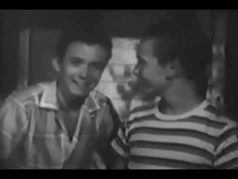 Mickey Mouse Club Presents: The Hardy Boys and The Mystery of Ghost Farm