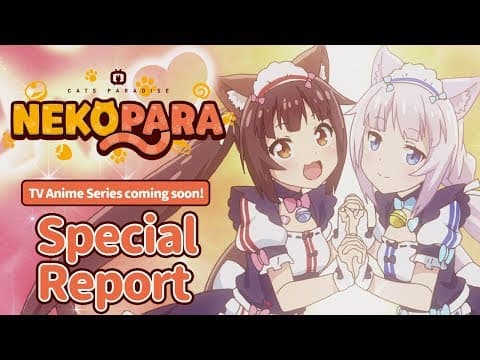 TV Animation NEKOPARA Special Report(English)