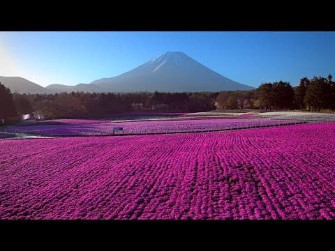 Japan from Above - MIPDoc 2018 World Premiere Trailer