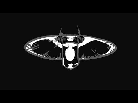 YLLI (2020) Trailer