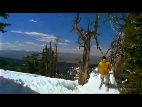 Under The Influence - Ski Trailer