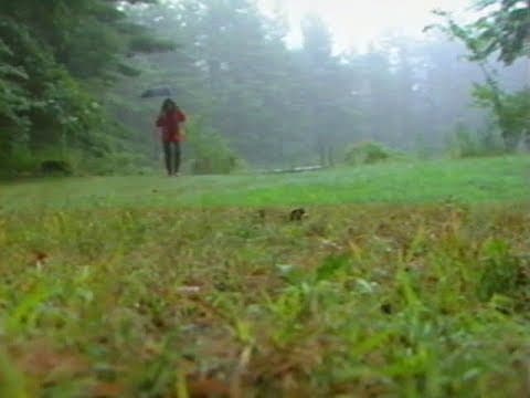 "A Video Visit With Lynne Cherry" VHS (1998) (The Trumpet Club)