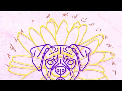 Layla | Experimental Micro Short Film