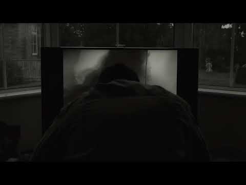 'PIGS' TRAILER