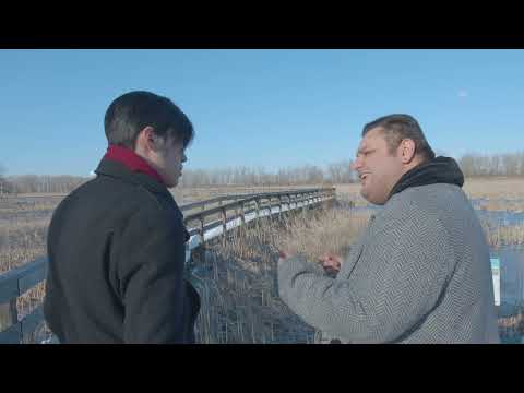AngelFish Trailer