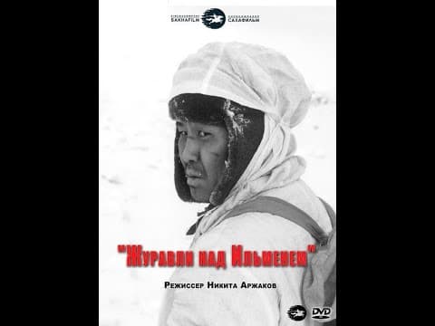 Журавли над Ильменем, 2005 год