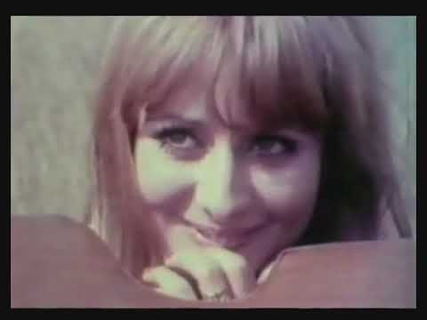 Korni Grupa - Roman sa kontrabasom
