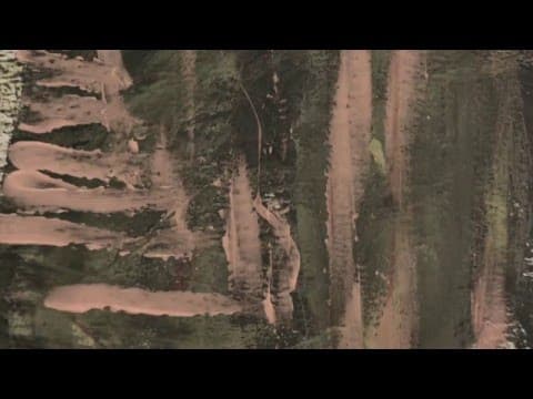ALEXFILM Trailer