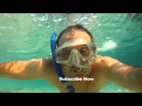 BILLS CHANNEL - SUBSCRIBE NOW!