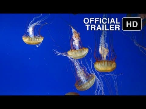 The Living Sea (1995) | Official Trailer