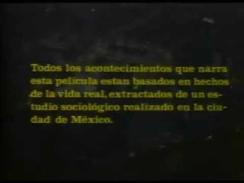 Perro callejero 1 pelicula completa