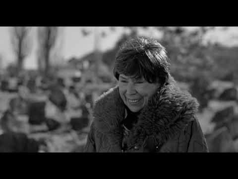 SEE Factory - Trailer