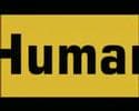 Human Traffic (1999) trailer