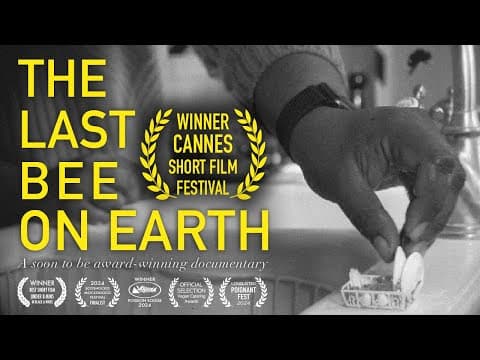 THE LAST BEE ON EARTH (Award-winning UK short)