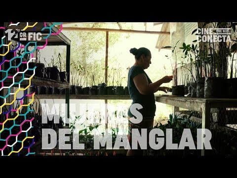 MUJERES DEL MANGLAR (tráiler oficial)