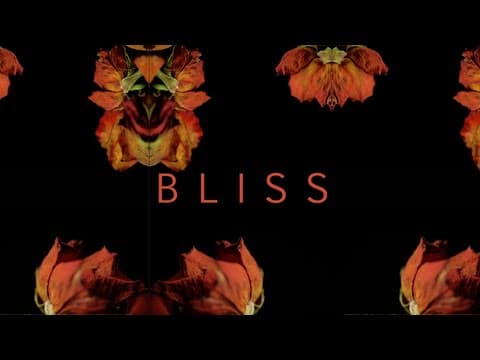 BLISS - short documentary