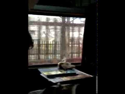 Window Seat in Rajdhani Express - A Film by Imtiaz Ali