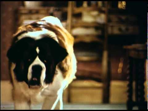Beethoven's 2nd - Trailer