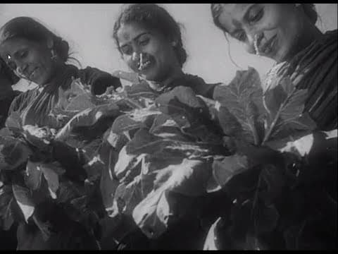 In Rural Maharashtra (1945)