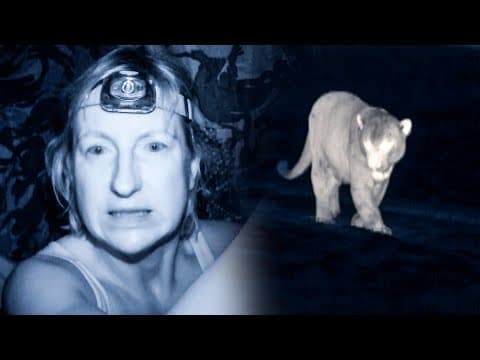 Jaguar Approaches Lone Camerawoman | The Dark: Nature's Nighttime World | BBC Earth