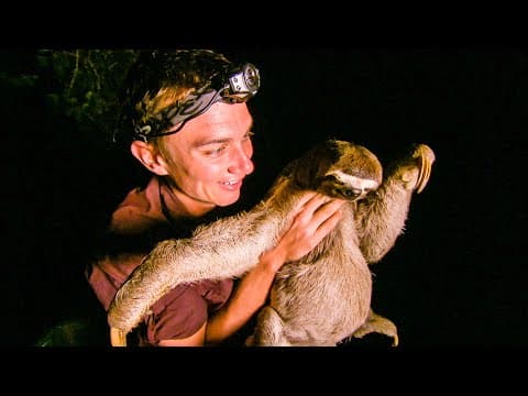 Zoologist spots Three Toed Sloth on Riverbank | The Dark: Nature's Nighttime World | BBC Earth