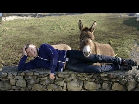 Des Bishop | Stand-up as Gaeilge | In the Name of the Fada
