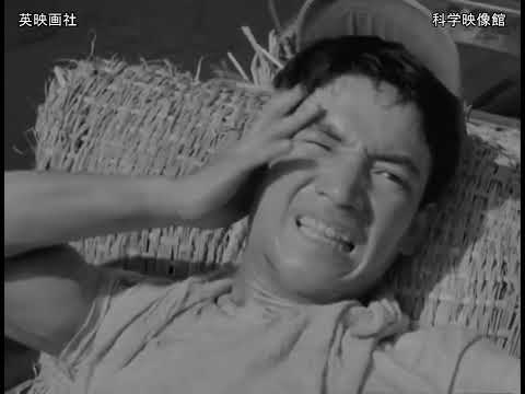 石ころの歌