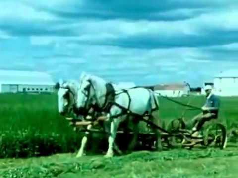 Au royaume du Saguenay