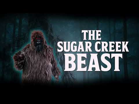 Sugar creek beast