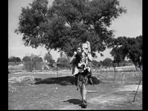 Aeropuerto (1953)