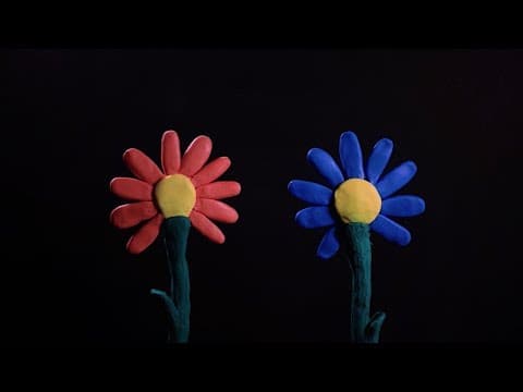 "BLOOM" - A sexual assault short film