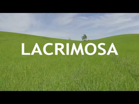 Lacrimosa Official Trailer #2