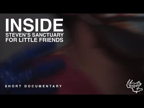 Inside Steven's Sanctuary For Little Friends | Short Documentary