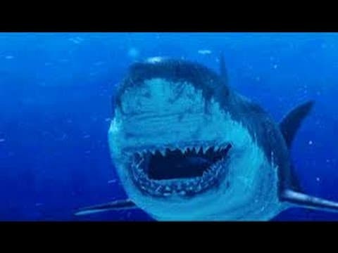 Shark of Darkness: Wrath of Submarine